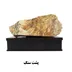 شجر راف کد 2355